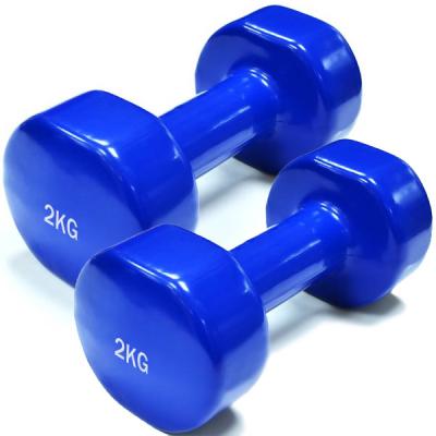 Гантель Rising 2 кг (пара) (DB2113-2) - изображение 1