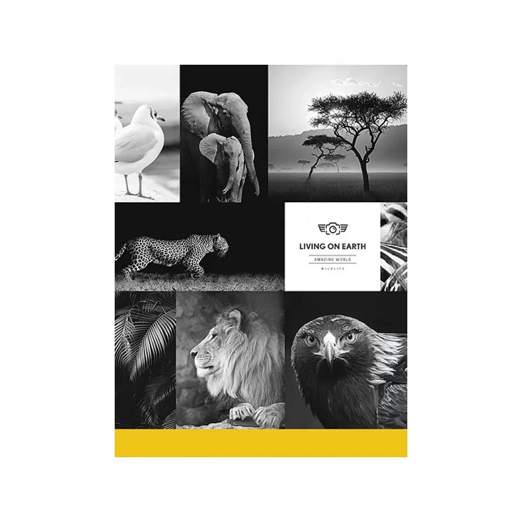 Зошит Школярик А5 Student лінія 80 аркушів (A5-080-5057L) - зображення 4