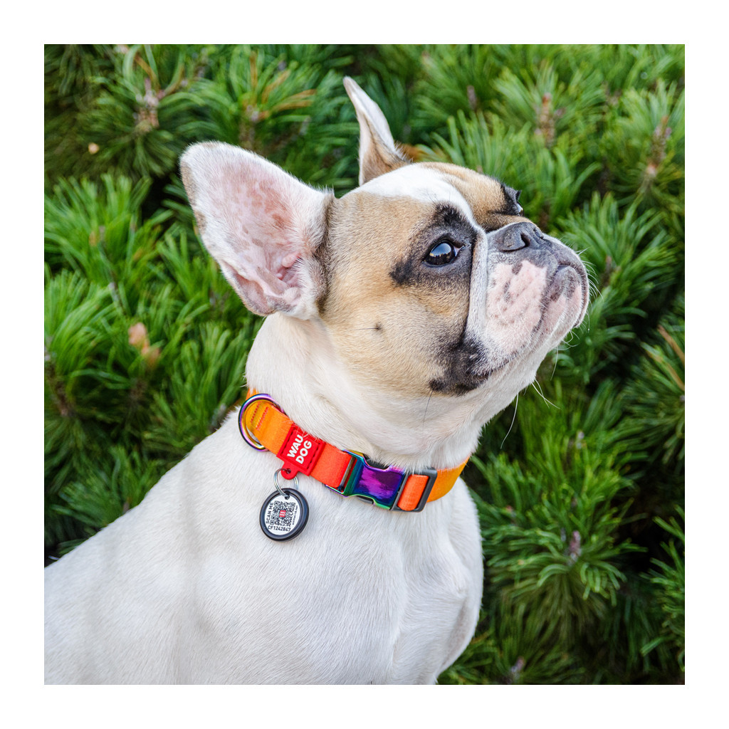 Нашийник для тварин WAUDOG Recycled з QR паспортом M Ш 20 мм Д 28-40 см помаранчевий (46514) - зображення 3