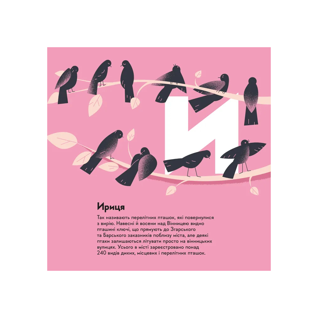 Книга Книжечка-мандрівочка. Вінниця Видавництво Старого Лева (9789664484012) - зображення 11