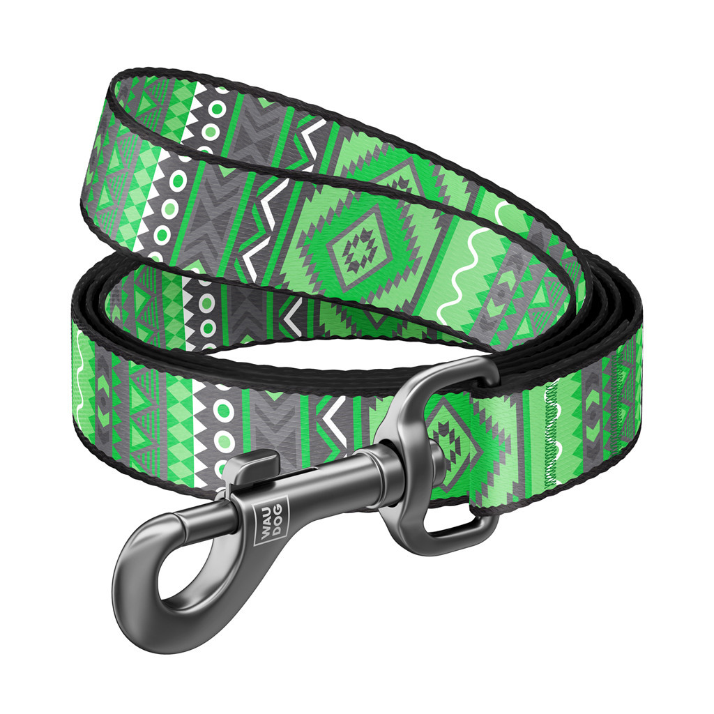 Повідок для собак WAUDOG Nylon "Етно зелений" L 25 мм х 122 см (4657) - зображення 1