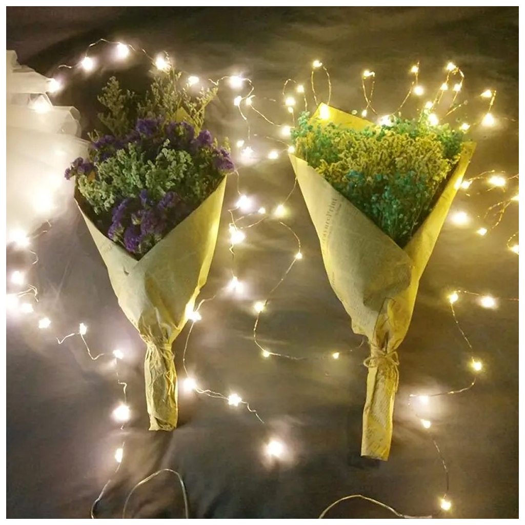 Гірлянда ColorWay Струна LED 100 10 м теплий колір 3 AA Battery (CW-G-100L10NB) - зображення 8