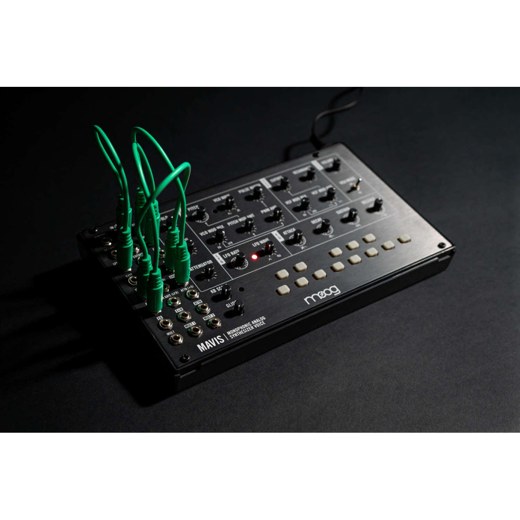 Синтезатор Moog Music Mavis (240985) - изображение 4