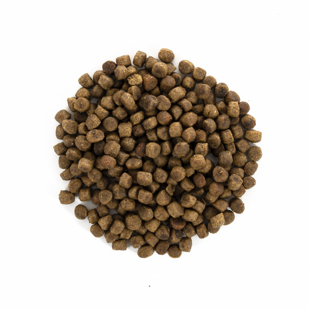 Сухий корм для кішок Brit Care Cat GF Kitten HGrowth and Development 400 г (8595602540686) - зображення 4