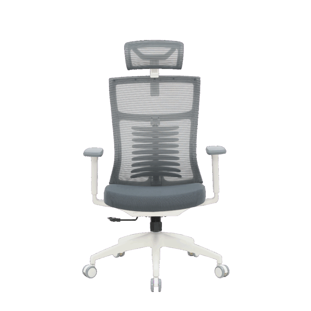 Офісне крісло OfficePro Balance OC550-W-DG-DG (OC550-W-DG-DG) - зображення 1