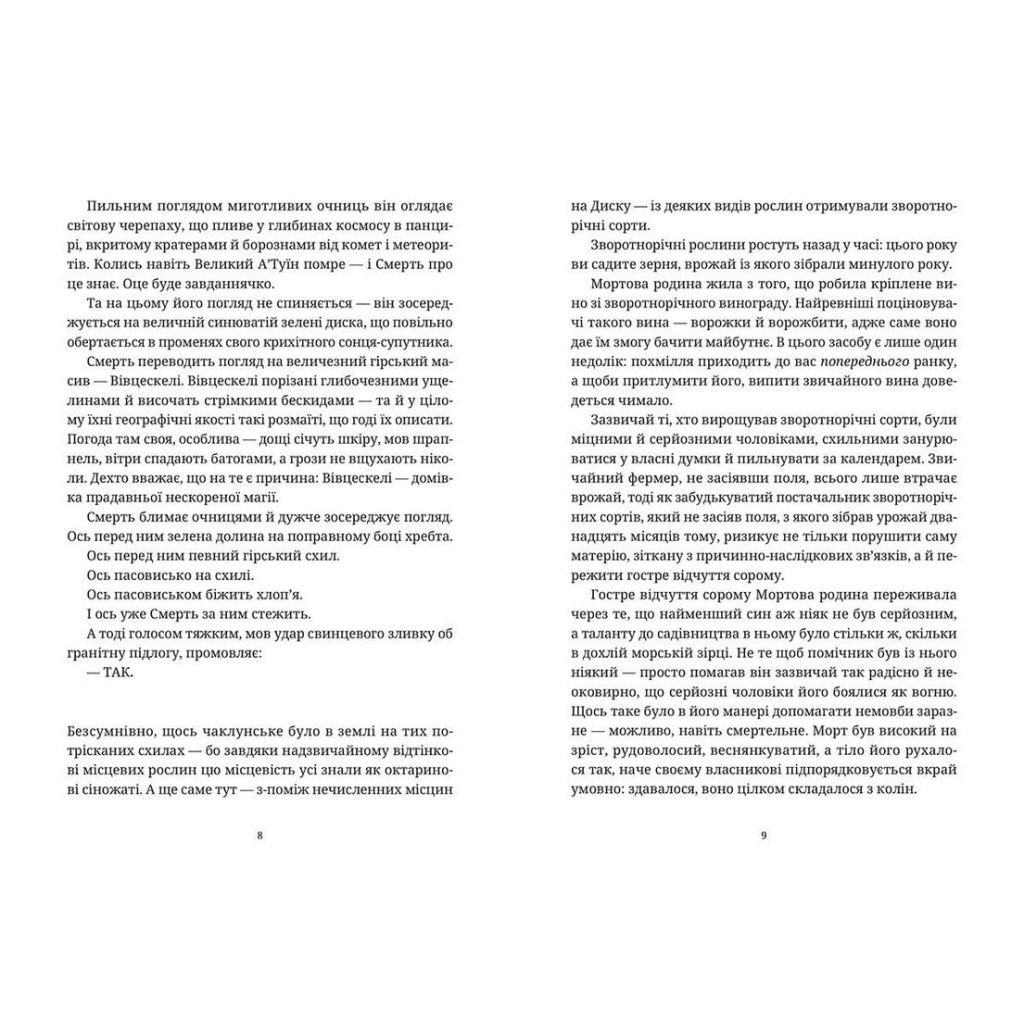 Книга Морт - Террі Пратчетт Видавництво Старого Лева (9786176794837) - зображення 4