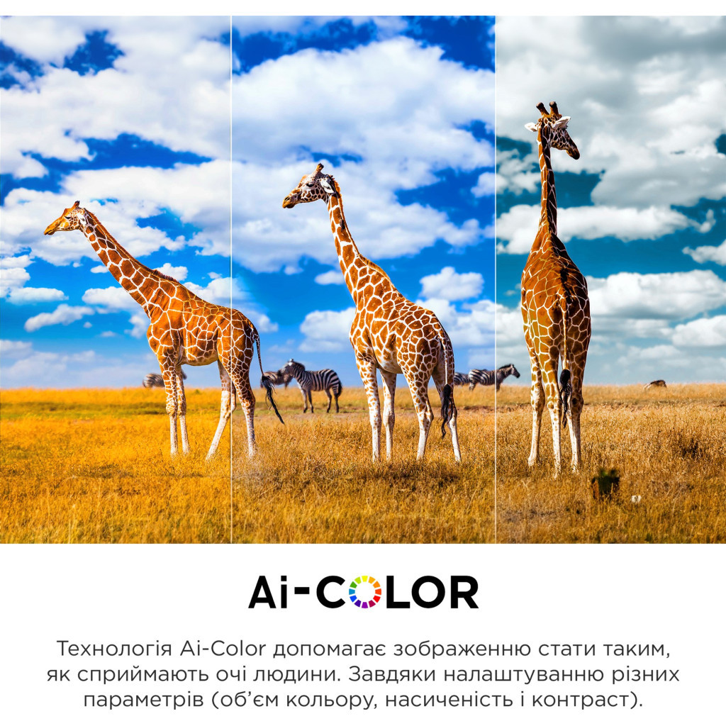 Телевізор TCL 55C845 - зображення 9