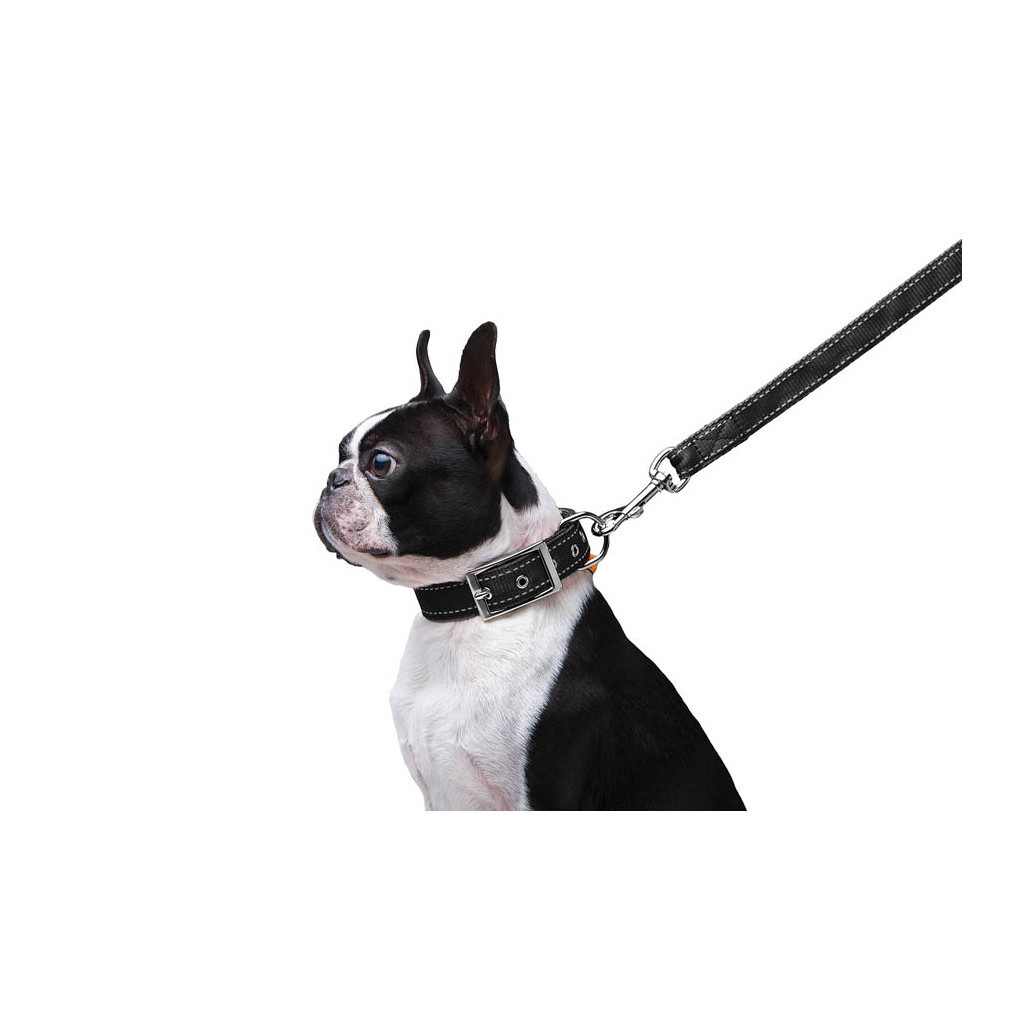 Повідець для собак Dog Extreme з нейлону подвійний Ш 20 мм Д 122 см чорний (42981) - зображення 4