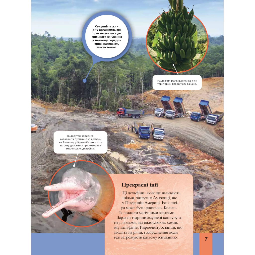 Книга Дитяча енциклопедія довкілля Vivat (9786171704831) - зображення 7