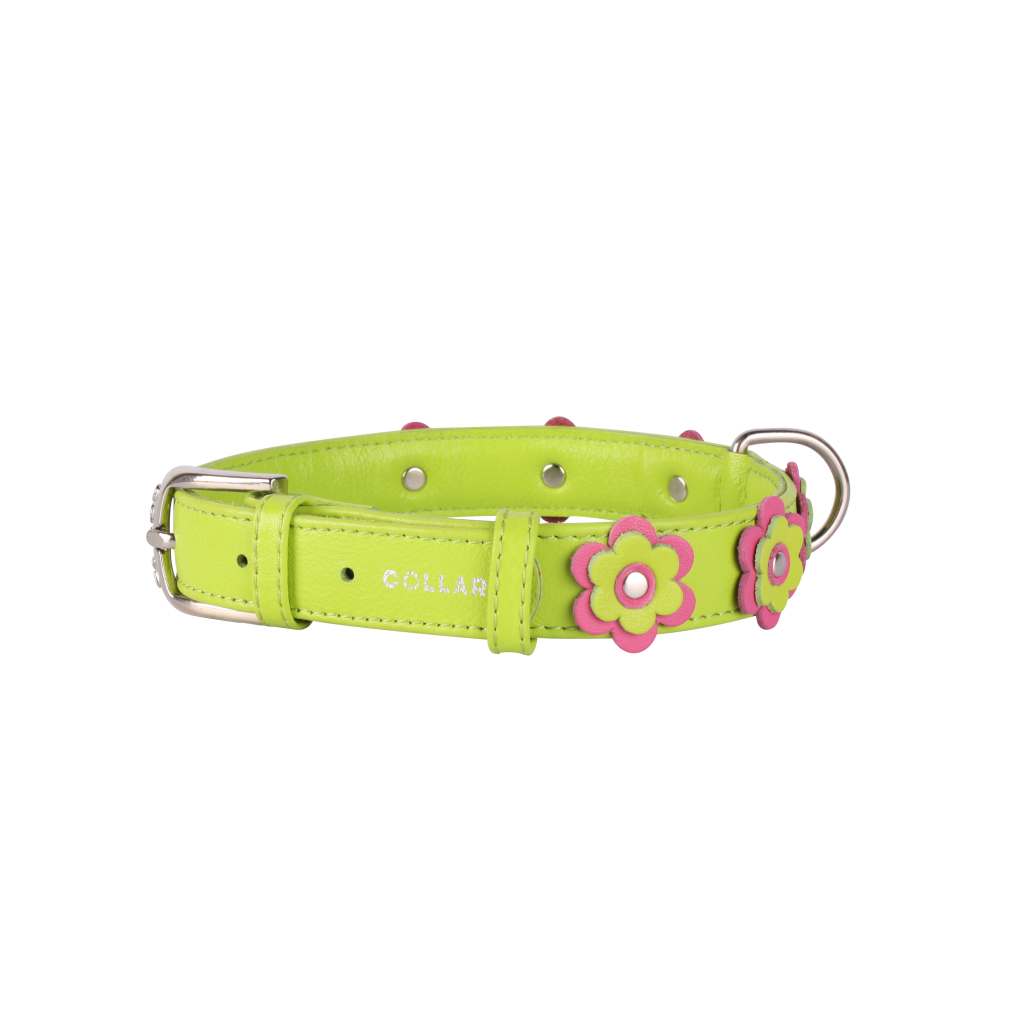 Нашийник для тварин Collar GLAMOUR з оздобленням "Аплікація" Ш 35 мм Д 46-60 см салатовий (35045) - зображення 1