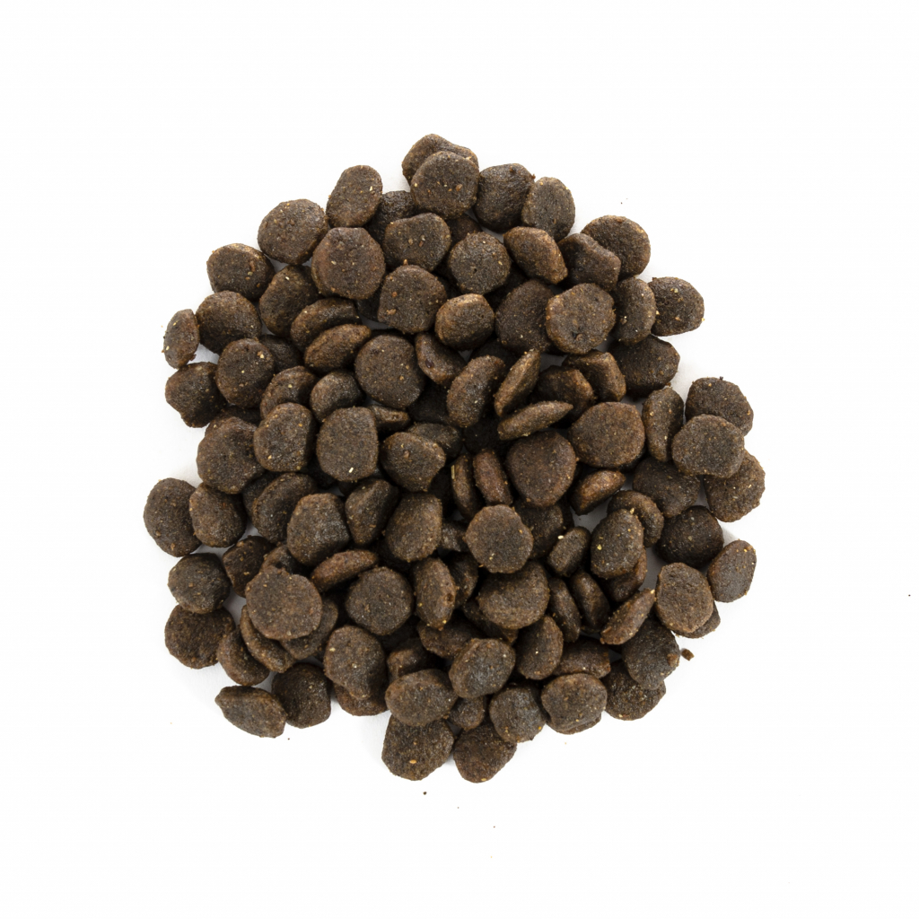 Сухий корм для собак Brit Care GF Mini Yorkshire 7 кг (8595602520213) - зображення 4
