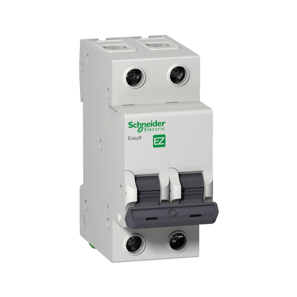 Автоматичний вимикач Schneider Electric Easy9 2P 25A C (EZ9F34225) - зображення 1