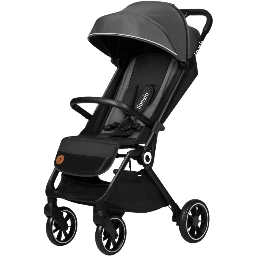 Коляска Lionelo Cloe Grey Stone (LO-CLOE GREY STONE) - зображення 1