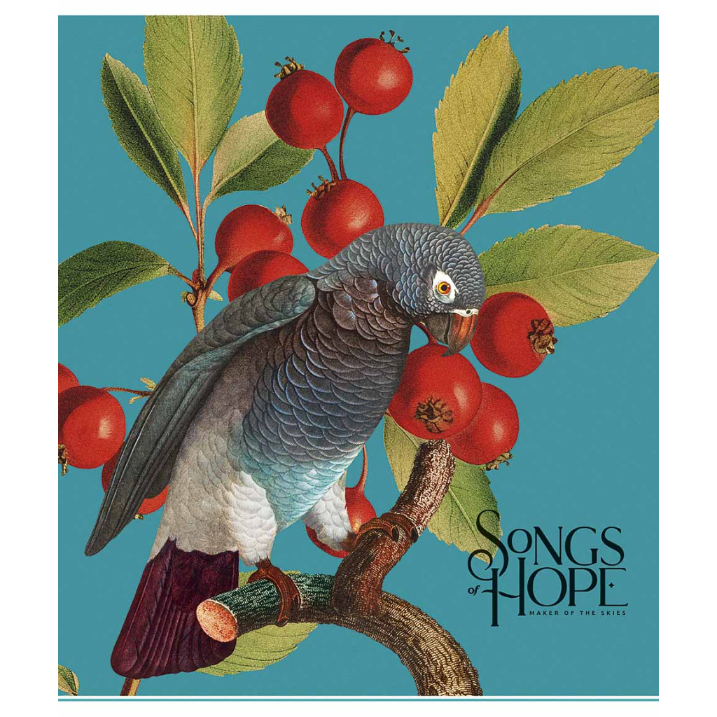 Зошит Школярик Birds 60 аркушів клітинка (060-3410K) - зображення 1