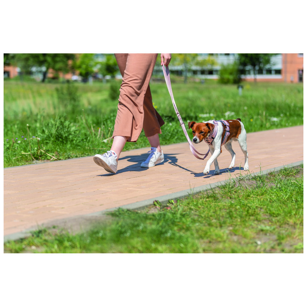 Повідець для собак Trixie Premium регульований M-L 2 м 20 мм світло-рожевий (4053032671904) - зображення 3