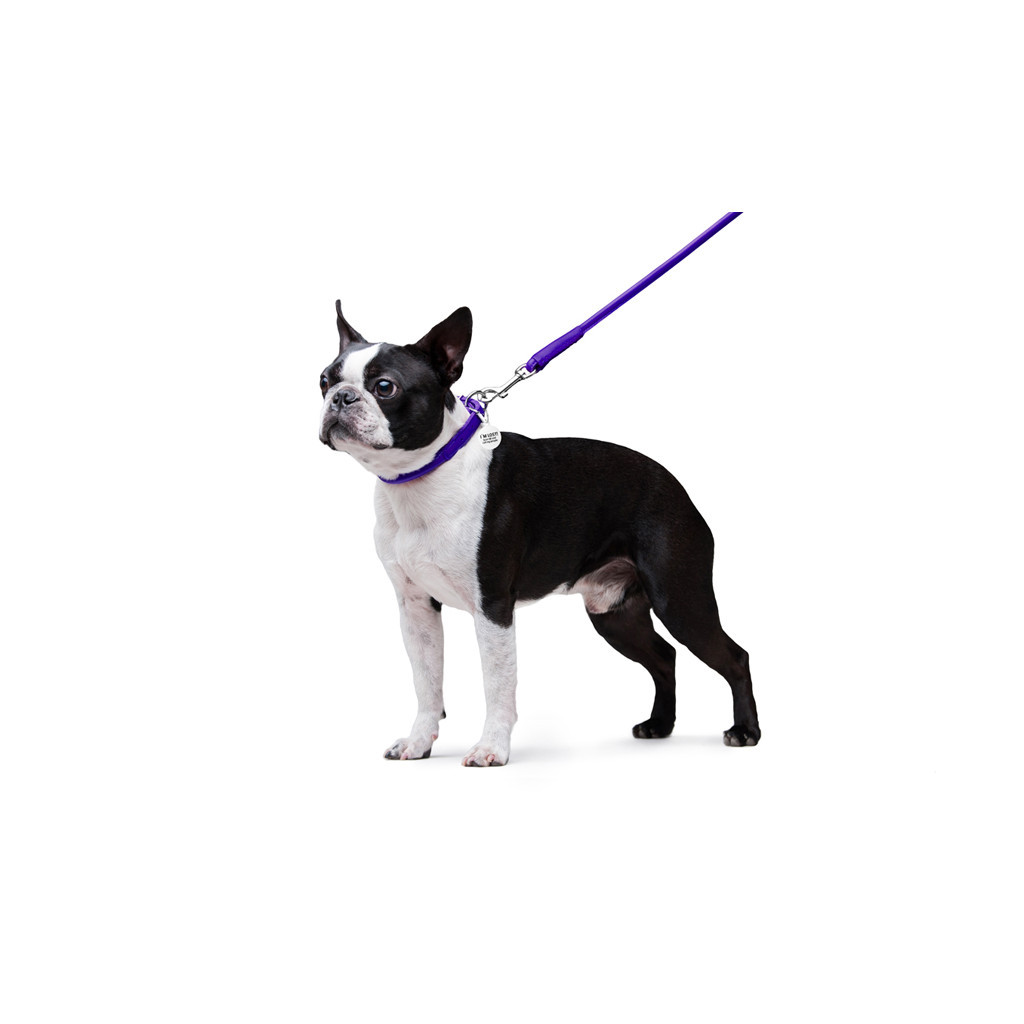 Повідець для собак WAUDOG Glamour круглий XS d 8 мм Д 122 см фіолетовий (33779) - зображення 5