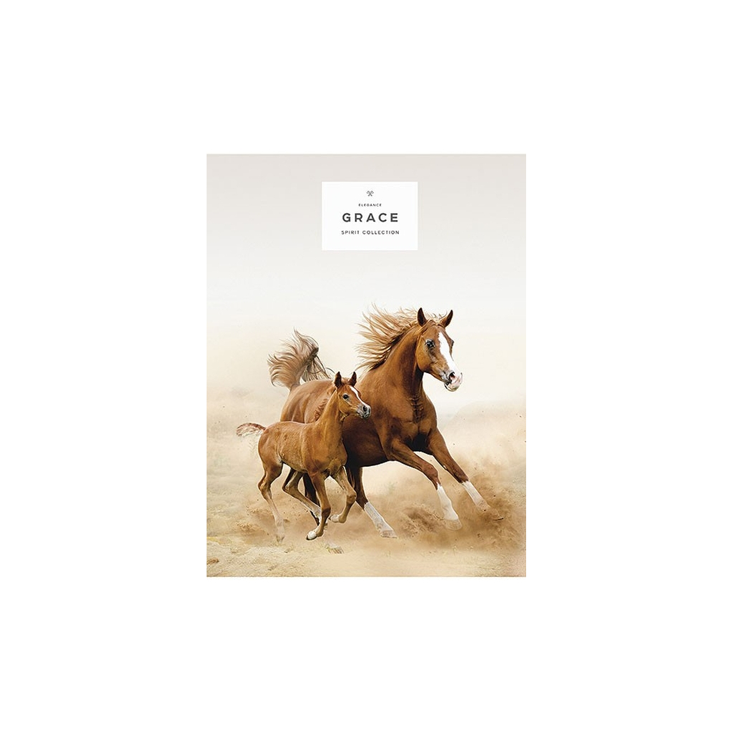 Зошит Школярик А5 Student лінія 48 аркушів (A5-048-5061L) - зображення 3