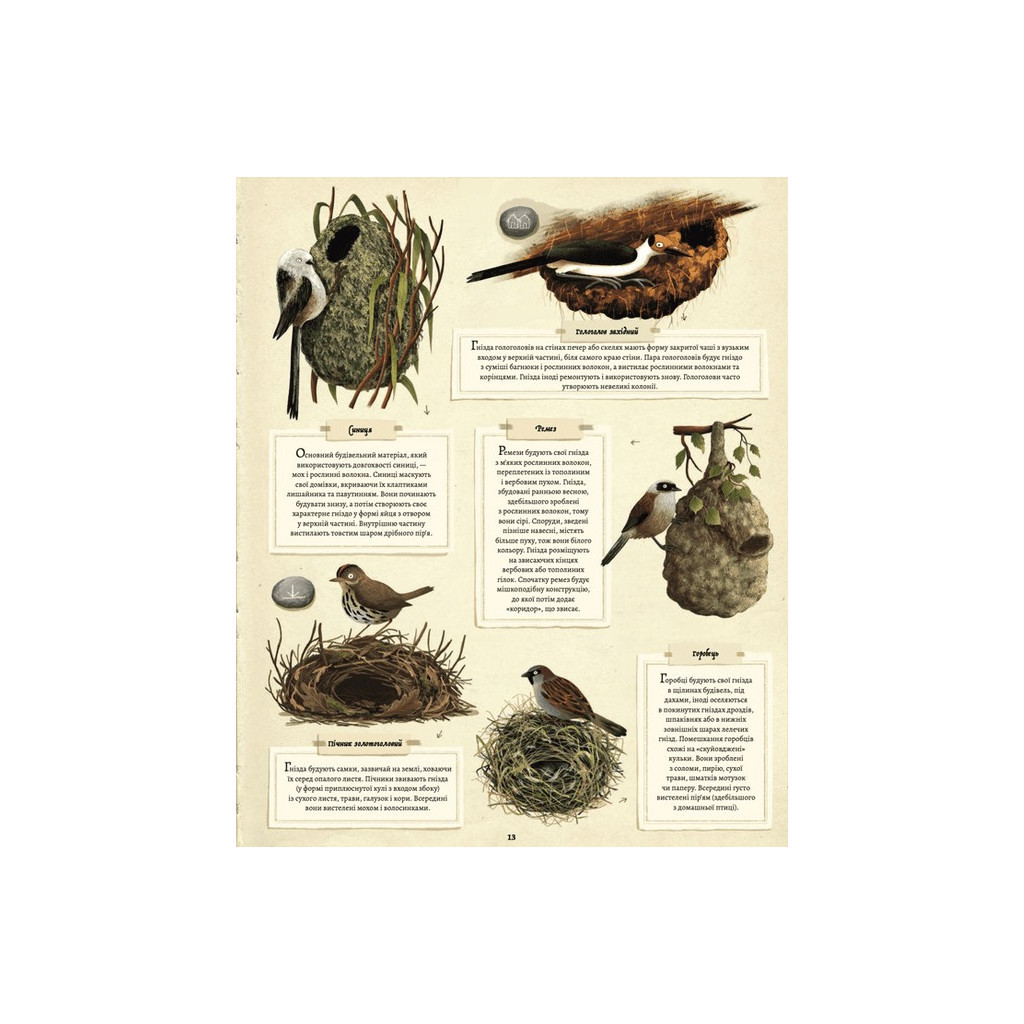 Книга Що будують звірята? - Емілія Дзюбак Видавництво Старого Лева (9789664481271) - зображення 11