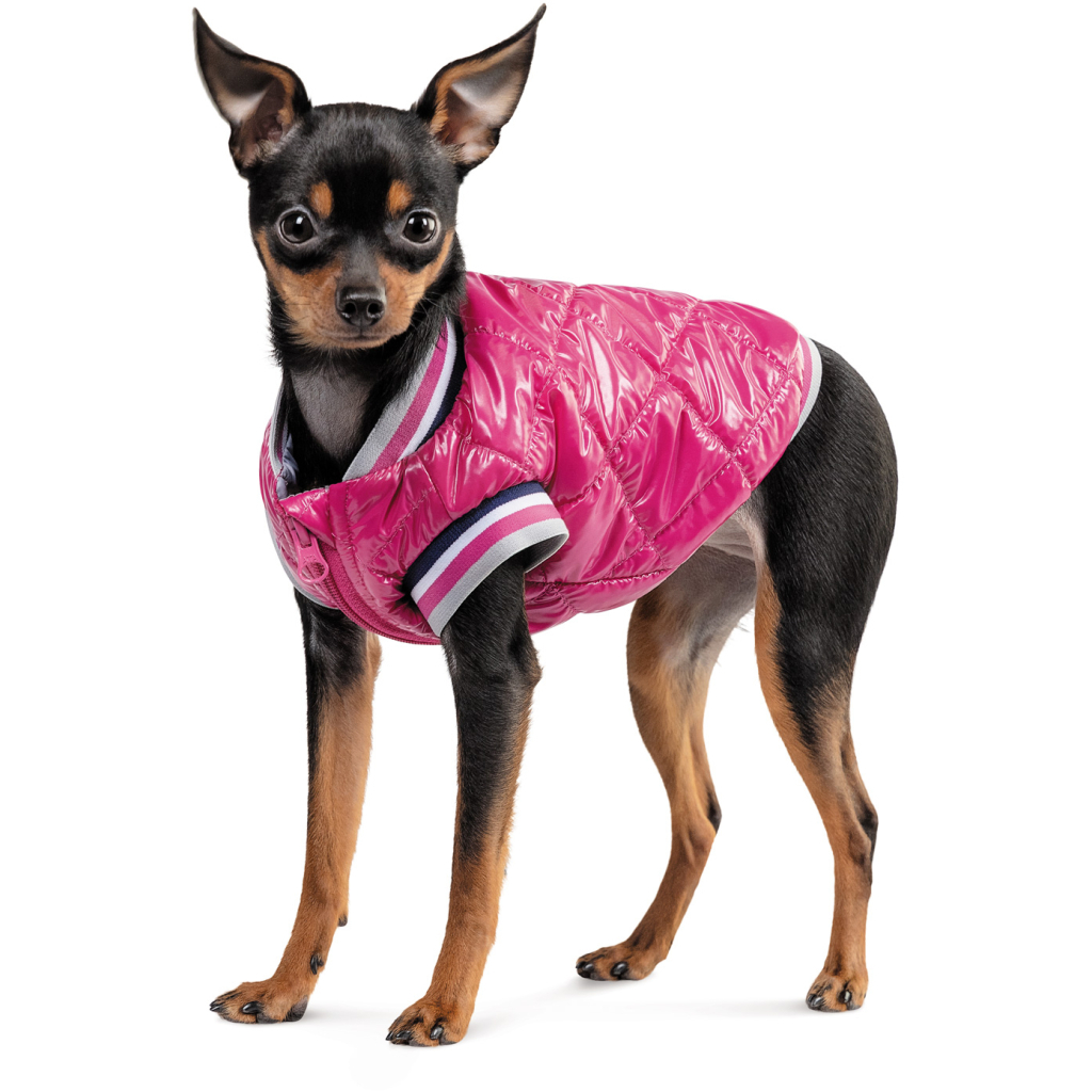 Бомбер для тварин Pet Fashion Grace М (4823082430178) - зображення 2