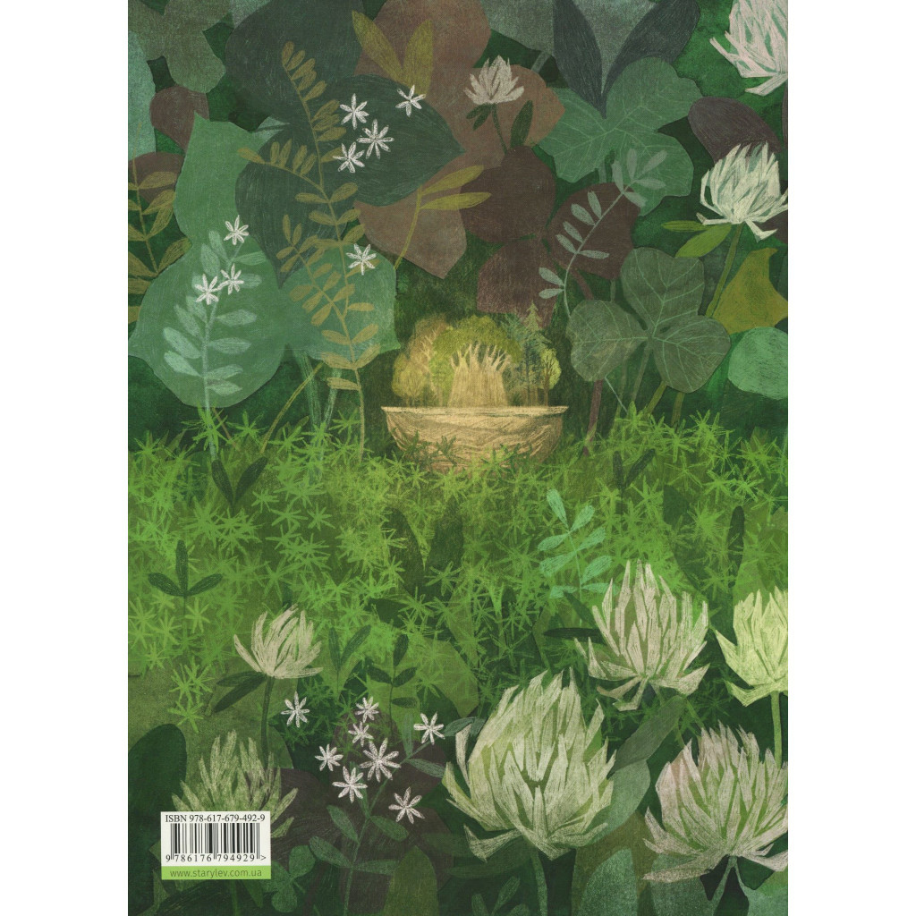 Книга Туконі - мешканець лісу - Оксана Була Видавництво Старого Лева (9786176794929) - зображення 2