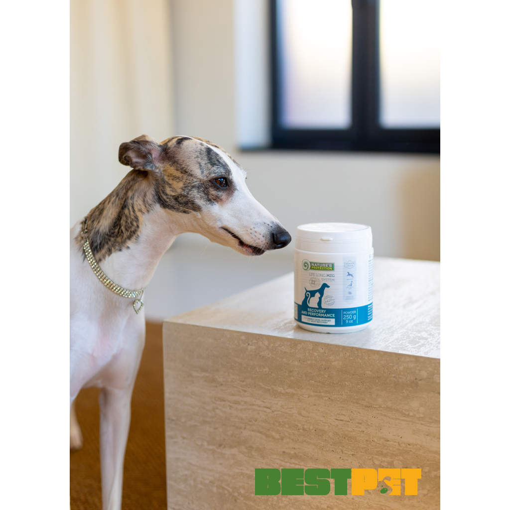 Пробіотична добавка для тварин Nature's Protection Recovery & Performance для котів і собак 250 г (CAN63553) - изображение 2