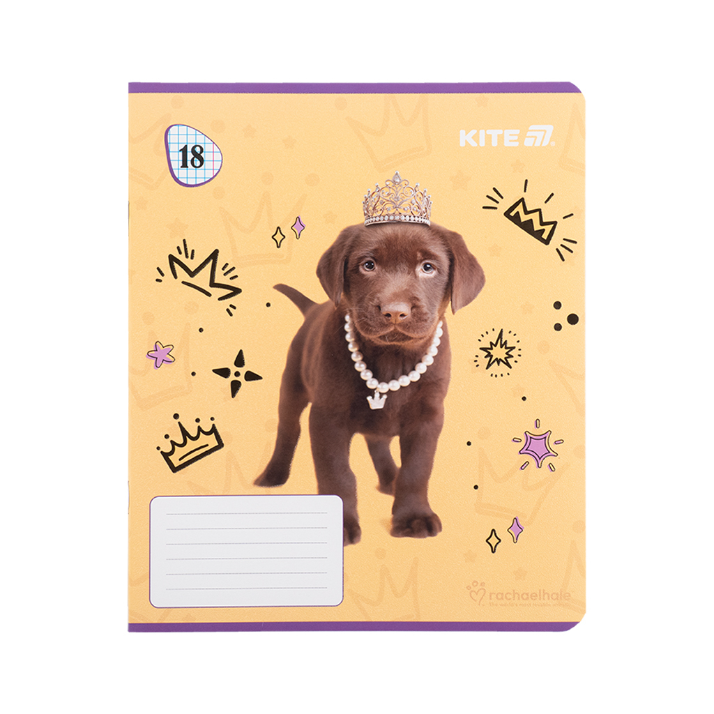 Зошит Kite Rachael Hale, 18 аркушів, клітинка (R25-236) - изображение 7