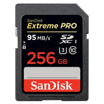 Карта пам'яті SanDisk 256GB SDXC Extreme Pro UHS-I U3 Class10 (SDSDXPA-256G-G46) - зображення 1