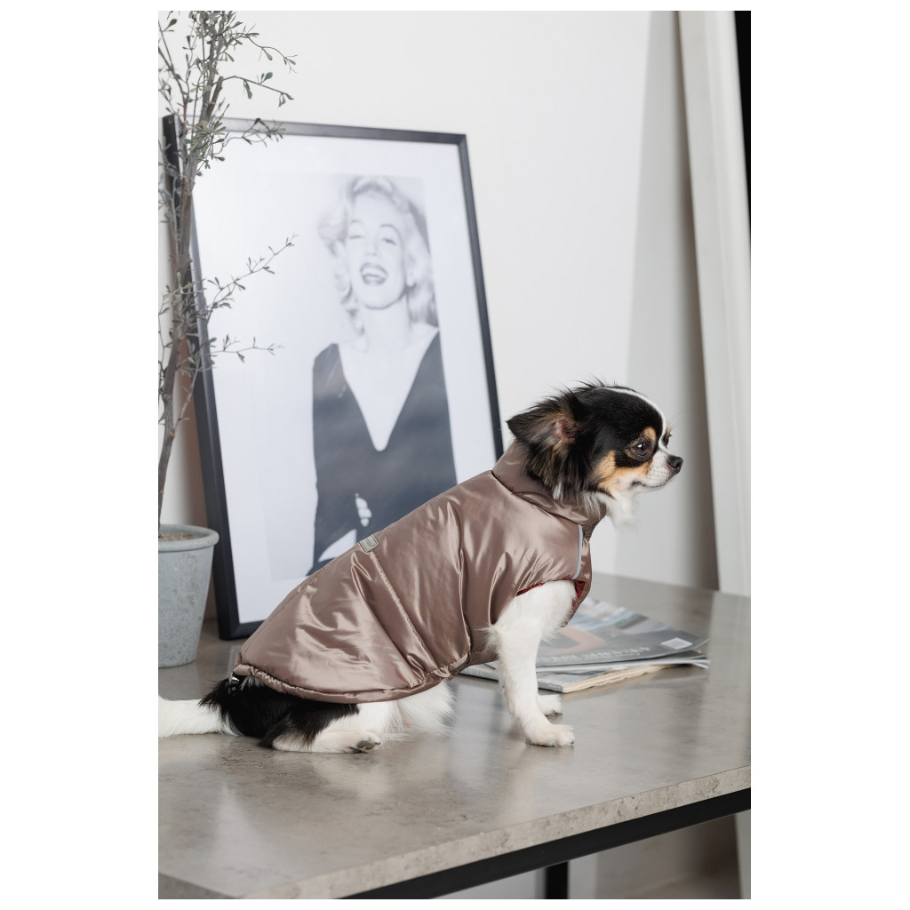 Жилет для тварин Pet Fashion Hardy XL (4823082437450) - зображення 6