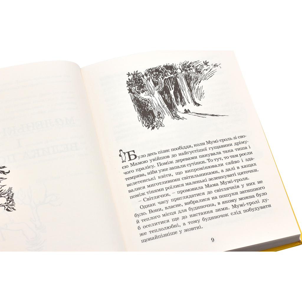 Книга Країна Мумі-тролів. Книга 1 - Туве Янссон Видавництво Старого Лева (9786176796466) - зображення 3