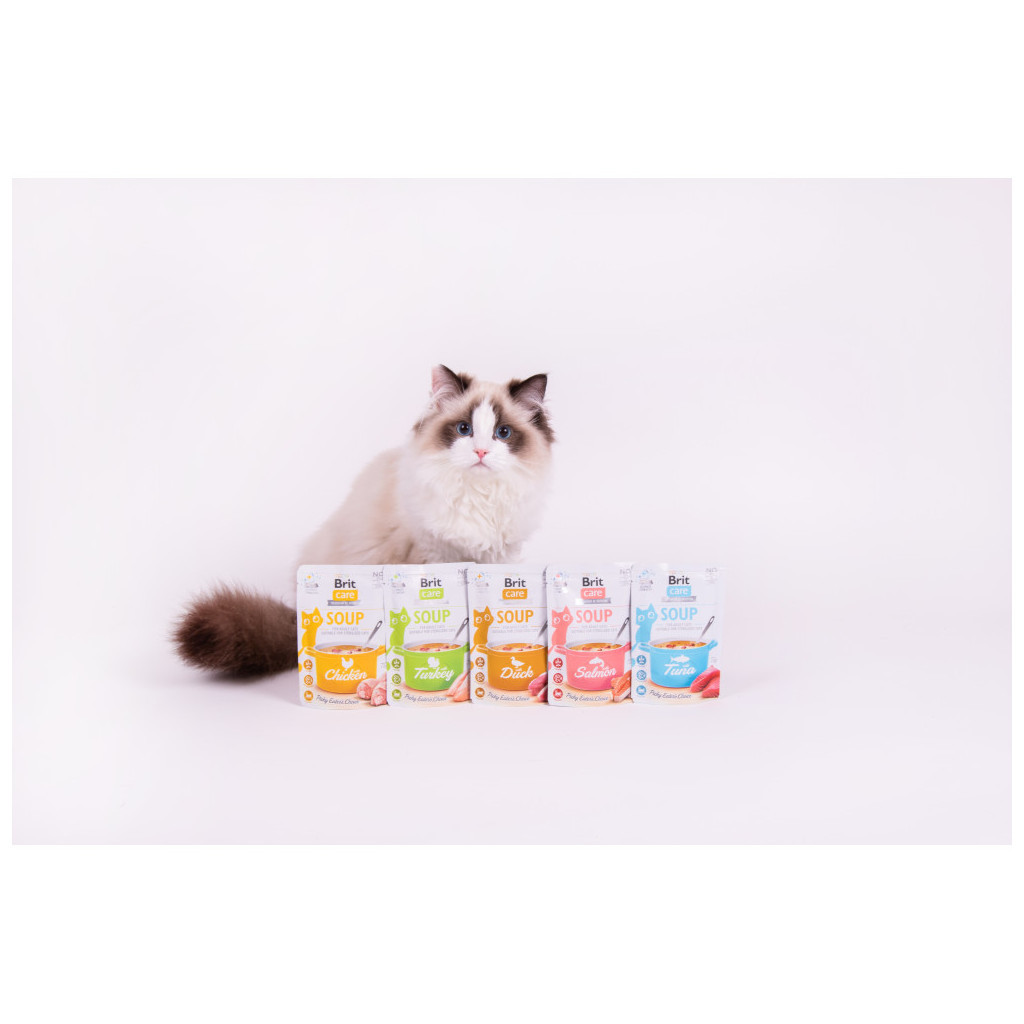 Вологий корм для кішок Brit Care Soup with Chicken з куркою 75 г (8595602569175) - зображення 4
