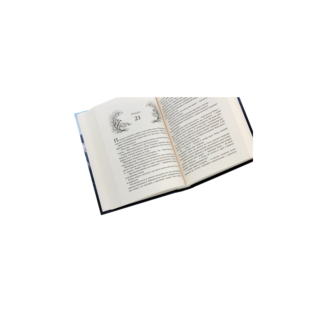 Книга Королева порожнечі - Голлі Блек Vivat (9789669822000) - зображення 5