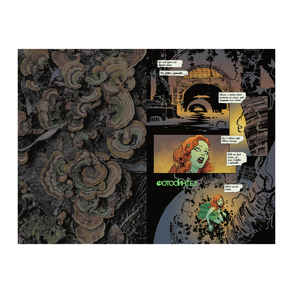 Комікс Отруйний плющ. Книга 1. Непорочне коло - Ґвендолін Віллов Вілсон Видавництво РМ (9786178373337) - зображення 1