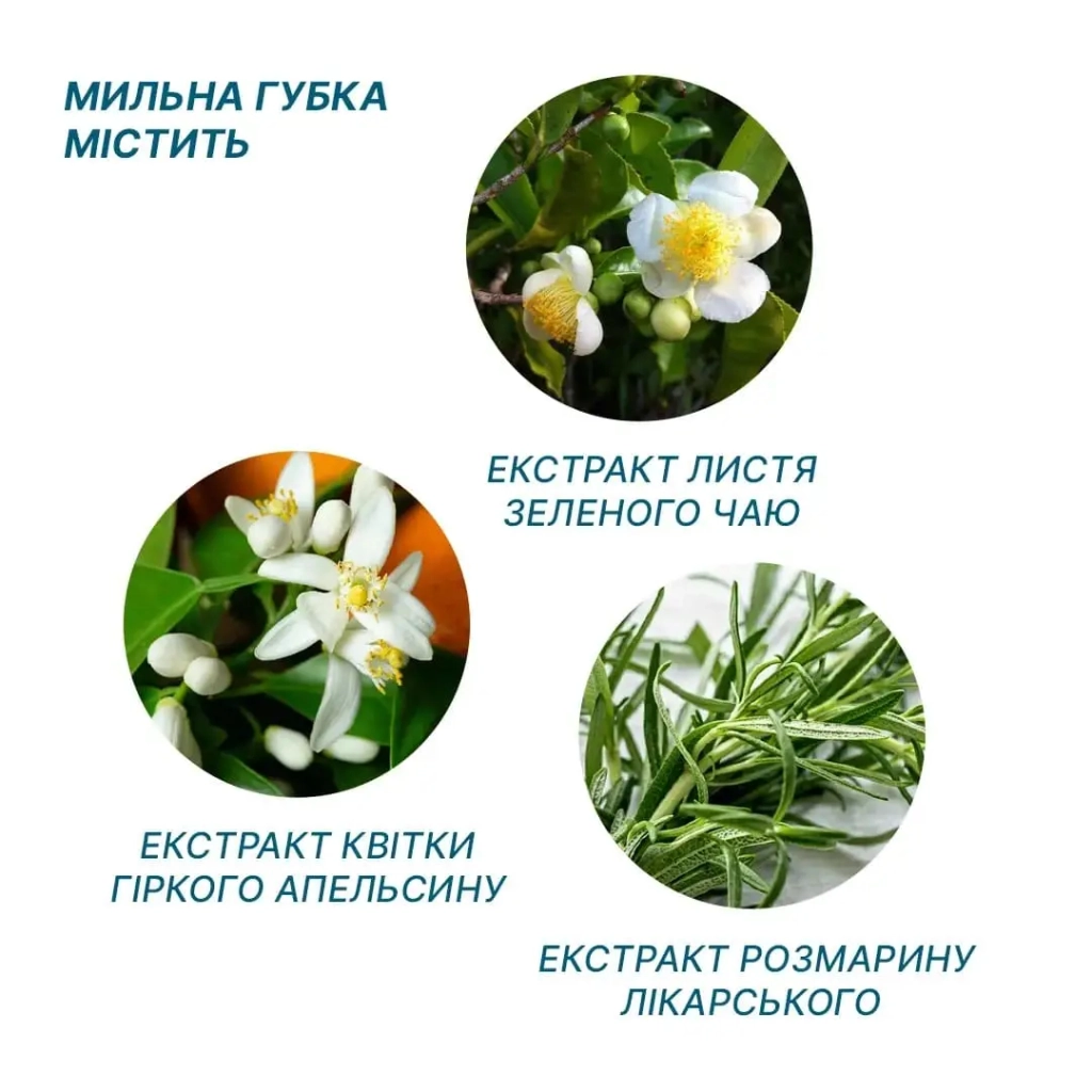 Одноразовий душ Estem Comfort (53-201-IS) - изображение 4