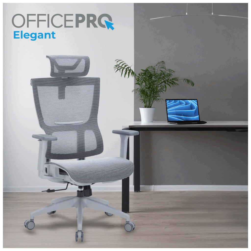 Офісне крісло OfficePro Elegant OC660-G-DG-DG (OC660-G-DG-DG) - зображення 2