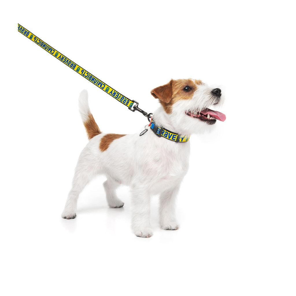 Нашийник для тварин WAUDOG Nylon з QR паспортом "Сміливість" пластиковий фастекс XL (4504-0231) - зображення 3