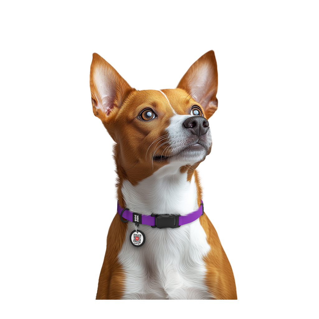 Нашийник для тварин WAUDOG Magnet c QR паспортом, магнітна пряжка-фастекс S фіолетовий (27949) - зображення 6