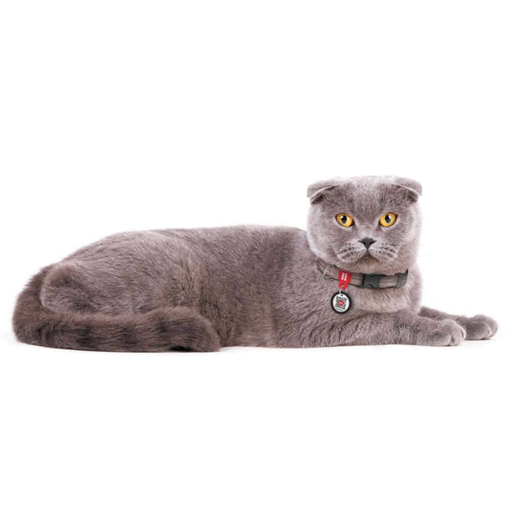 Нашийник для тварин WAUDOG Re-cotton з QR паспортом для котів та дрібних порід собак XS коричневий (16406) - зображення 6