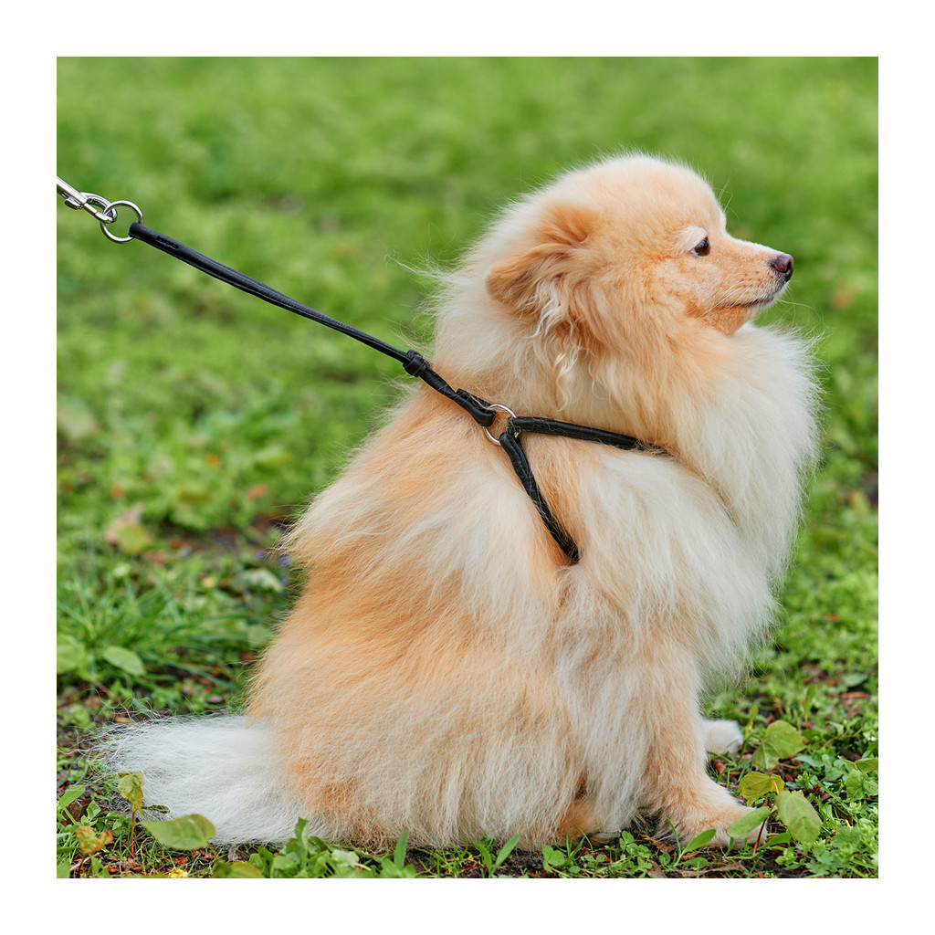 Шлея для собак WAUDOG Soft з QR паспортом кругла Д 6 мм А 42-60 см В 46-64 см чорна (46201) - зображення 3