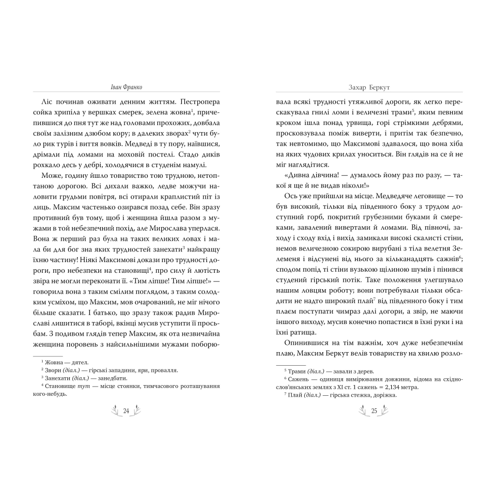 Книга Захар Беркут - Іван Франко Видавництво РМ (9786178248734) - зображення 8