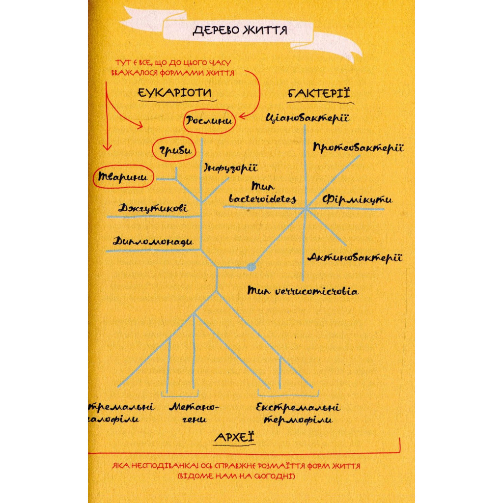 Книга Прислухайтесь до свого організму. Вплив крихітних мікробів - Роб Найт, Брендан Бюлер Vivat (9789669424563) - зображення 8