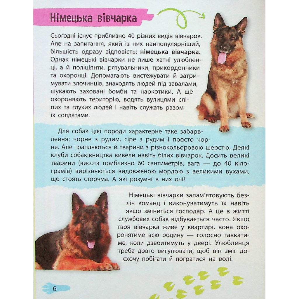 Книга Мініенциклопедія. Хатні улюбленці Vivat (9789669827241) - зображення 6