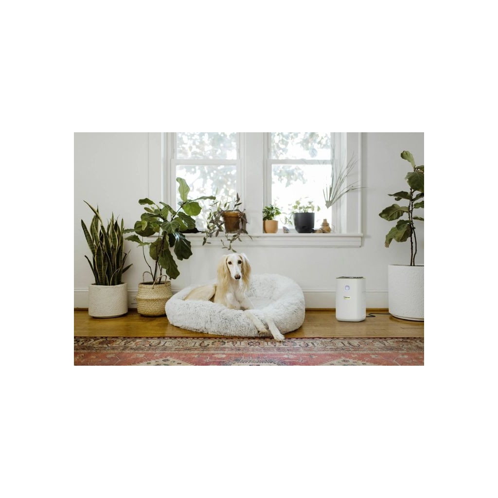 Очисник повітря Karcher AF 20 (1.024-820.0) - зображення 12