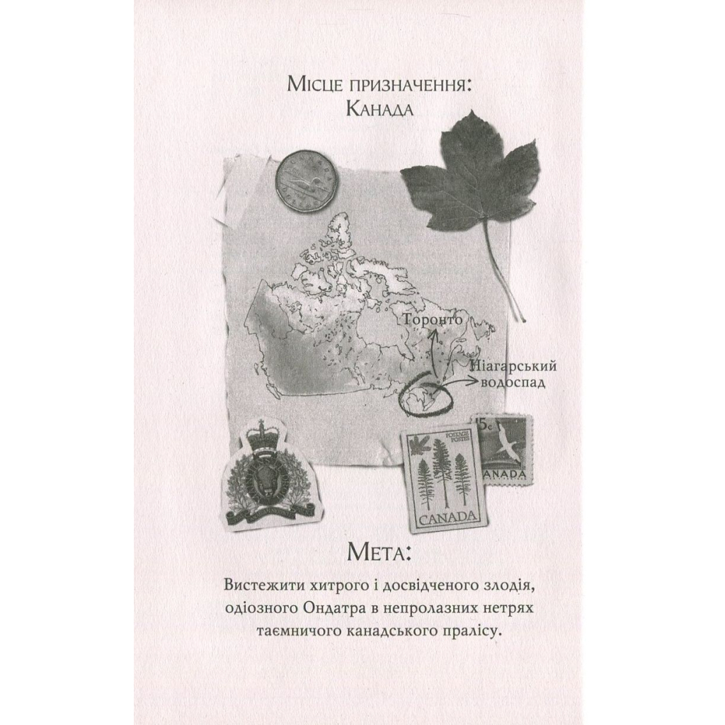 Книга Агата Містері. Крадіжка на Ніагарському водоспаді. Книга 4 - Сер Стів Стівенсон Видавництво РМ (9786178639556) - picture 3