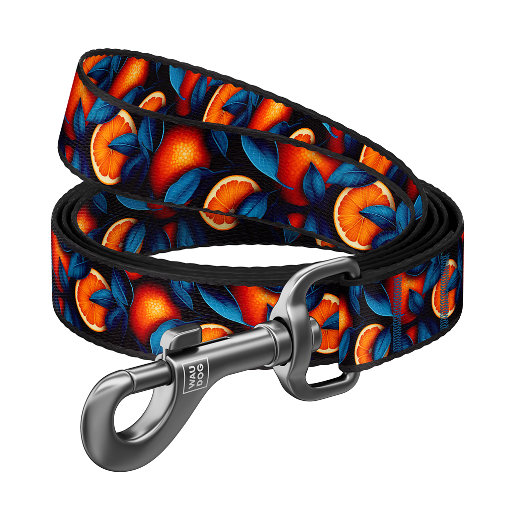 Повідець для собак WAUDOG Nylon "Апельсини" M, Ш 20 мм, Д 300 см (761-4054) - зображення 1