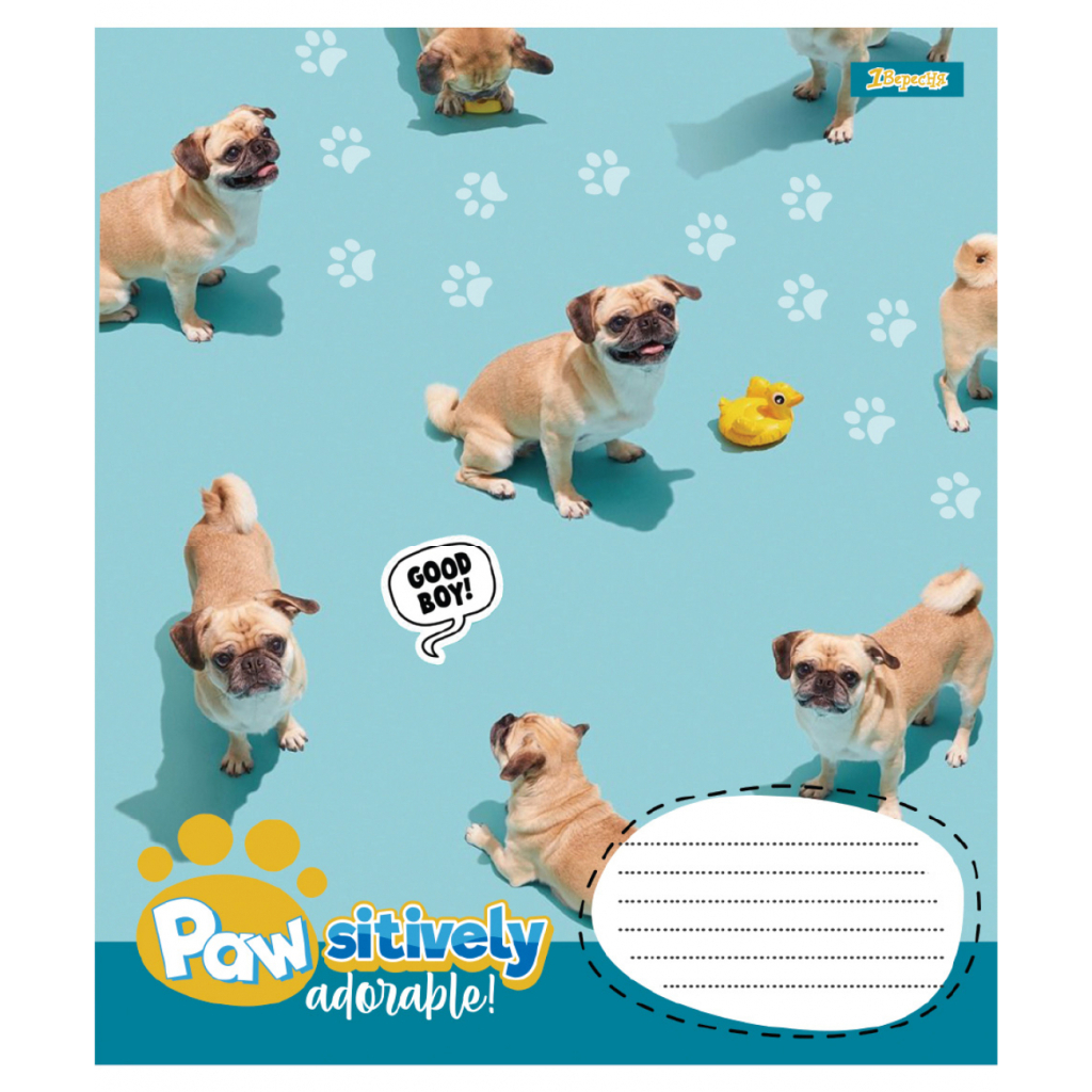 Зошит 1 вересня Pawsitively А5 24 аркушів лінія (768241) - зображення 4