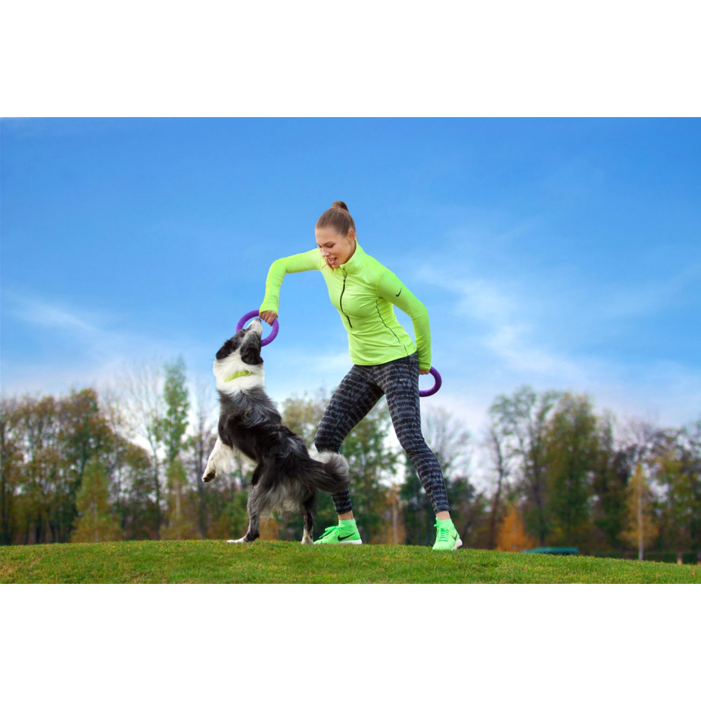 Іграшка для собак Puller Midi 20 см 2шт (6488) - зображення 7