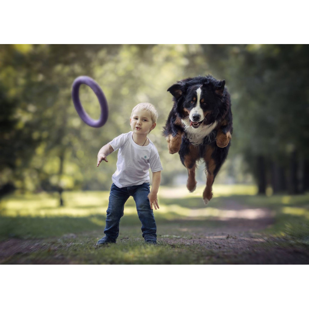 Іграшка для собак Puller Standard Тренувальний снаряд 28 см 2 шт (6490) - зображення 10