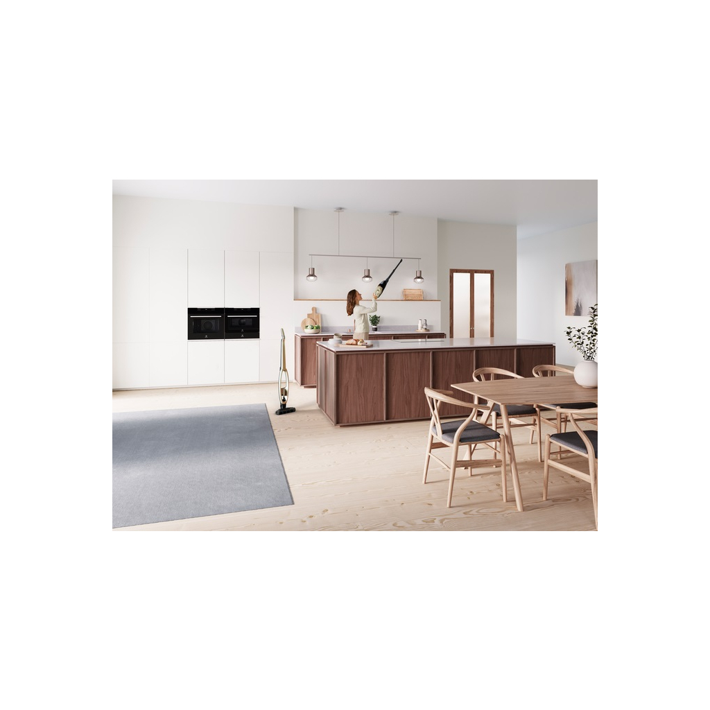 Пилосос Electrolux WQ71-P52SS - изображение 9