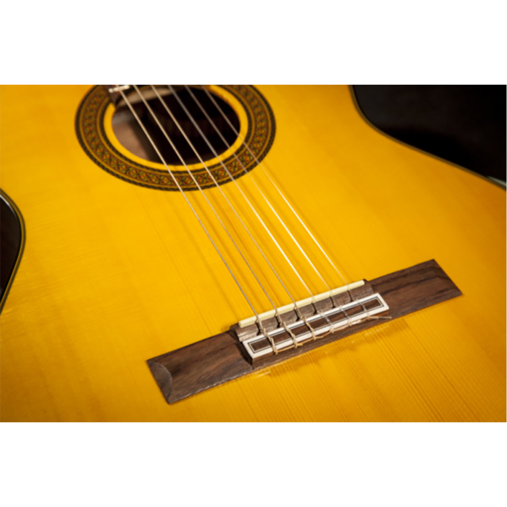 Гітара класична Takamine GC5 NAT (234729) - изображение 3