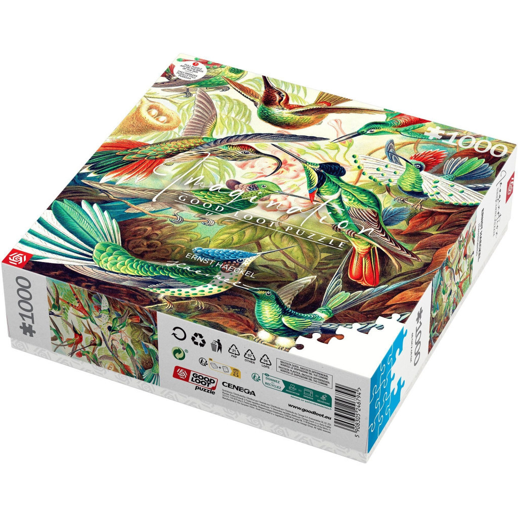Пазл GoodLoot Imagination: Ernst Haeckel Hummingbirds/Kolibry 1000 елементів (5908305246794) - изображение 7